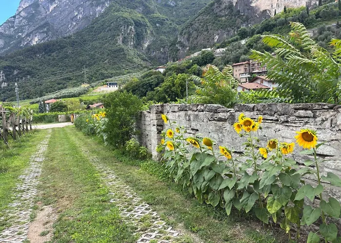 Ferienwohnung La Casa Nella Vigna Riva del Garda